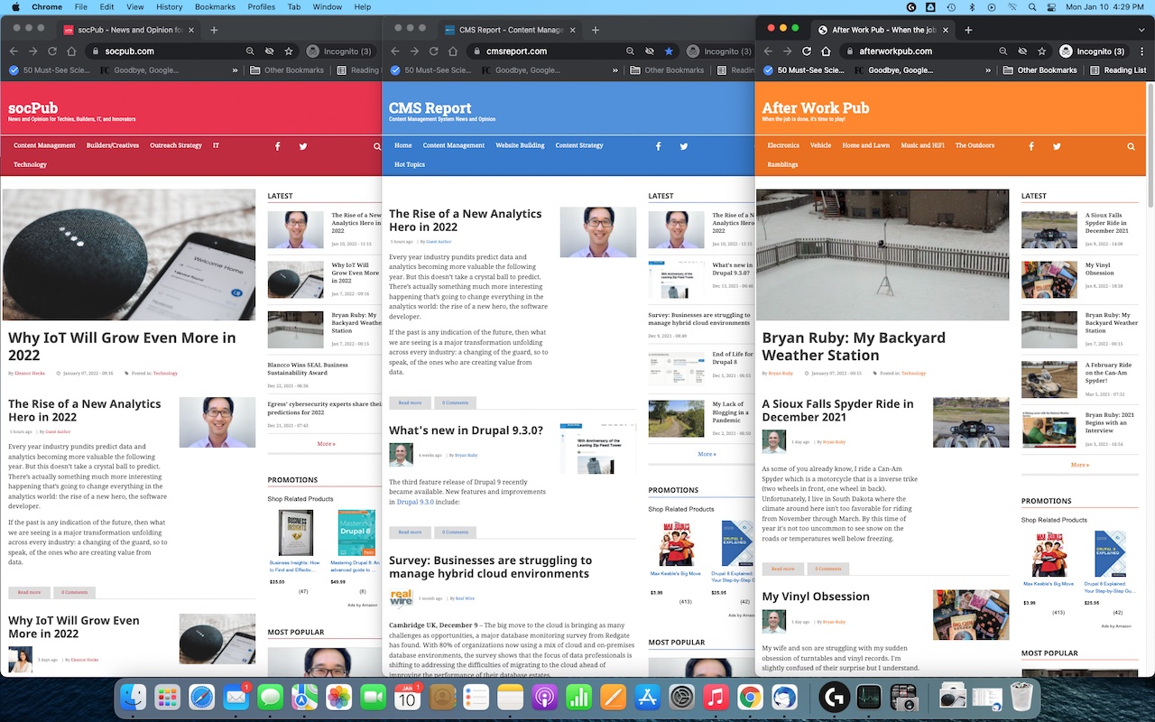 Trying to find my niche with three websites