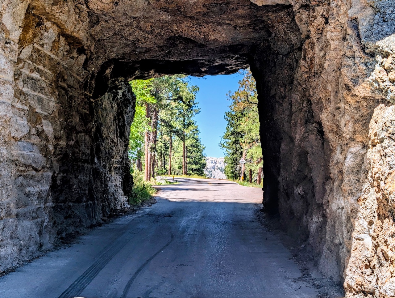 Summer Observations